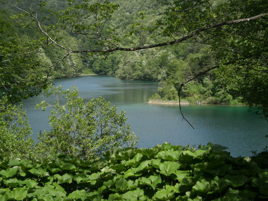 הוילה Vrhovine House Veljko מראה חיצוני תמונה