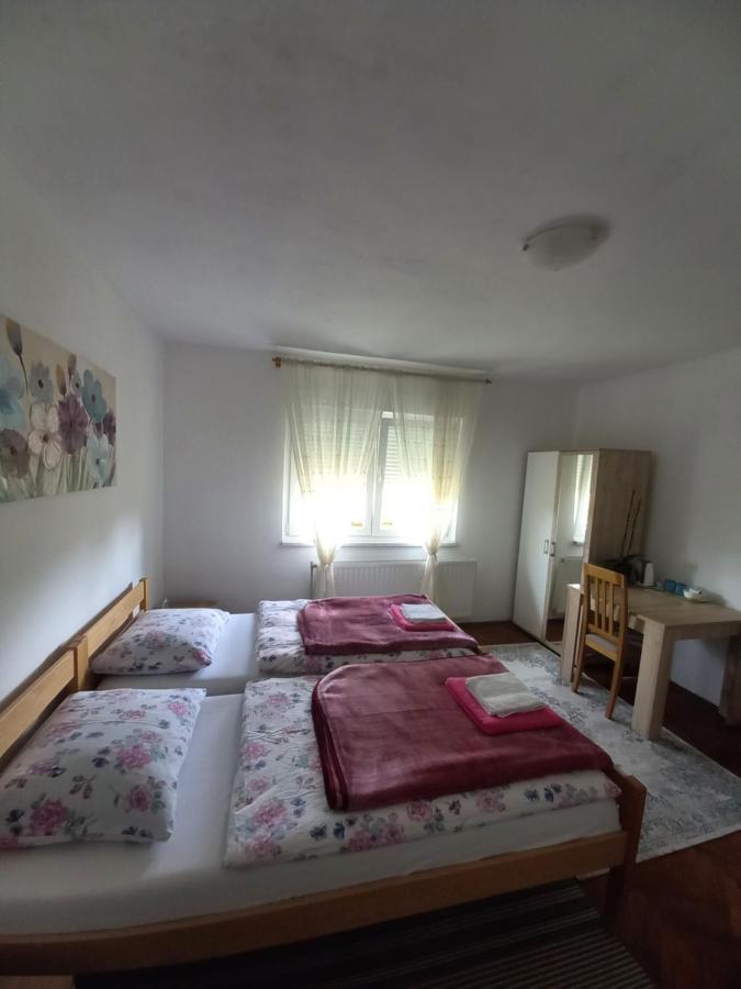 הוילה Vrhovine House Veljko מראה חיצוני תמונה